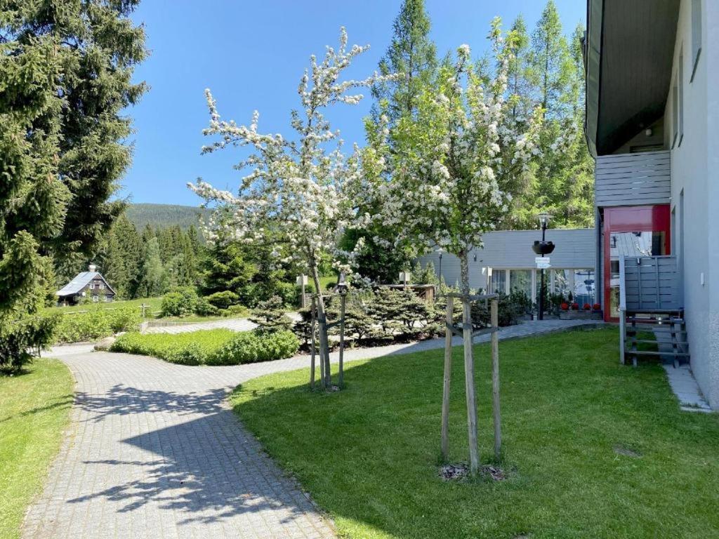 Relax Harrachov Apartments المظهر الخارجي الصورة