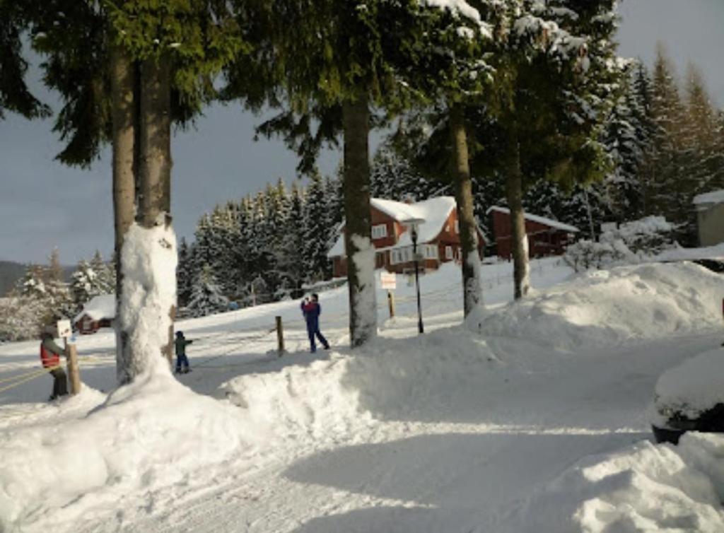 Relax Harrachov Apartments المظهر الخارجي الصورة